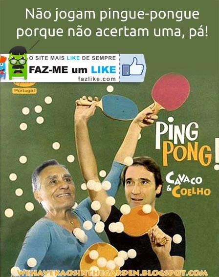 Pingue pongue - Coelho e Cavaco - Humor político